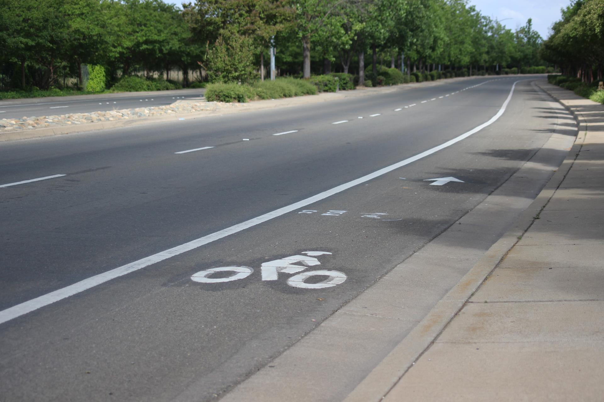 image of bike lane with painted sign of person riding a bike
